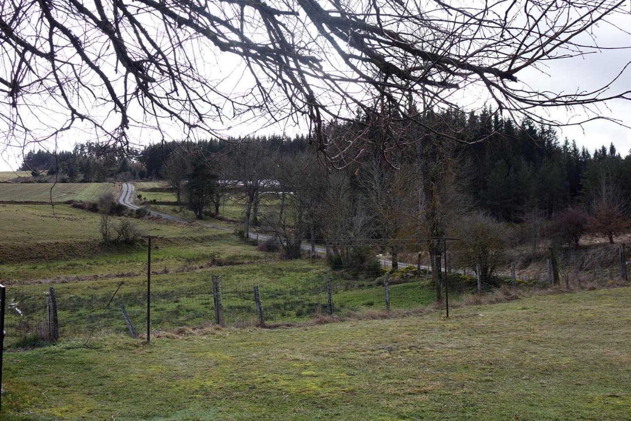 La Crova Villa Felines Luaran gambar